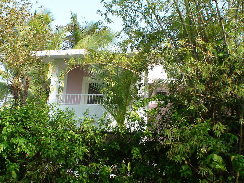 Hotel Riu Bambu