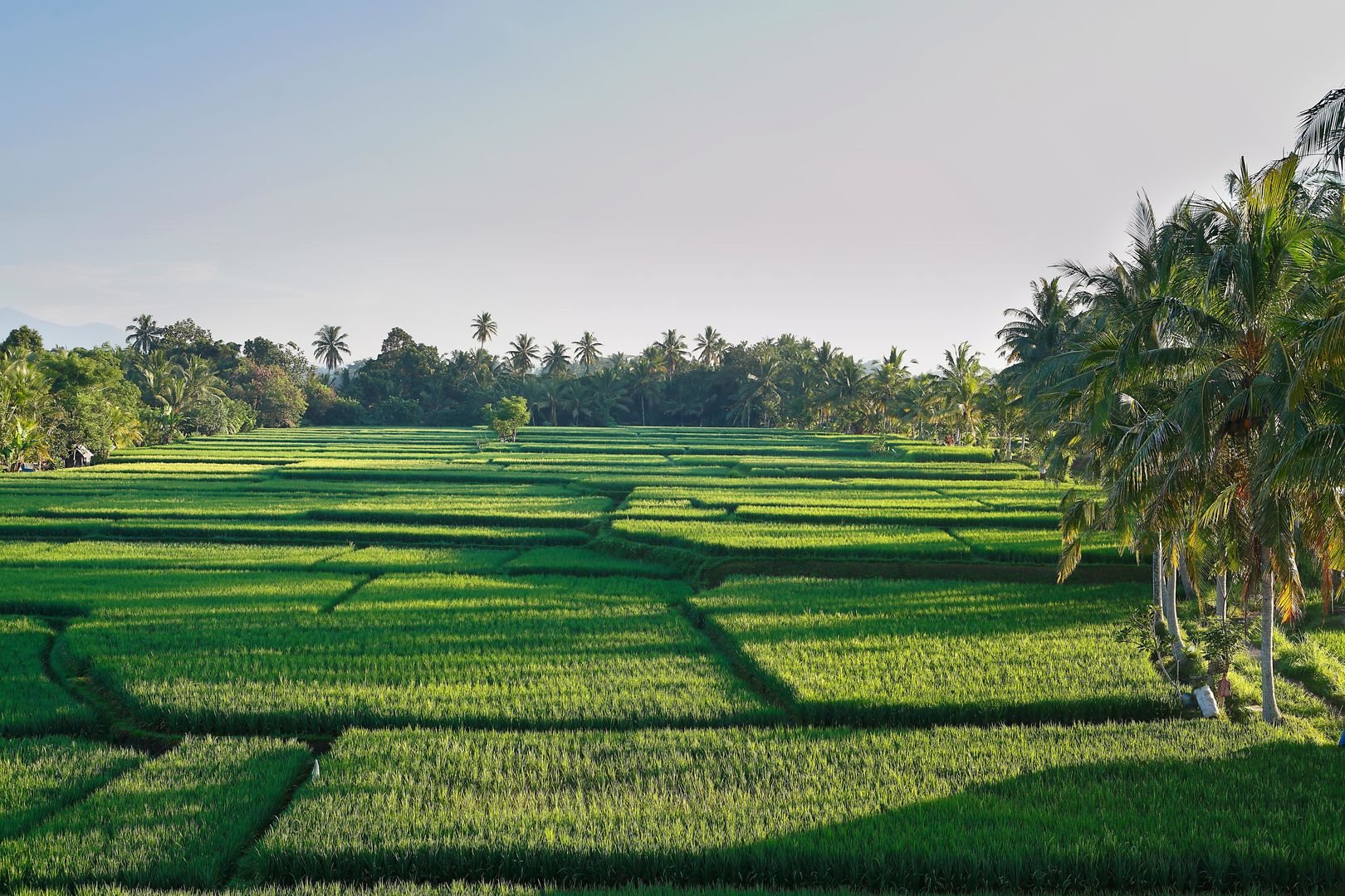 LUXE Villas Bali