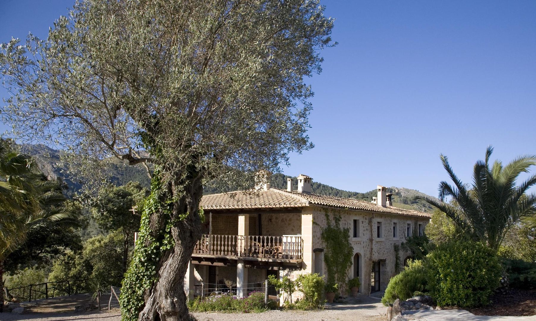 Vall de Pollensa